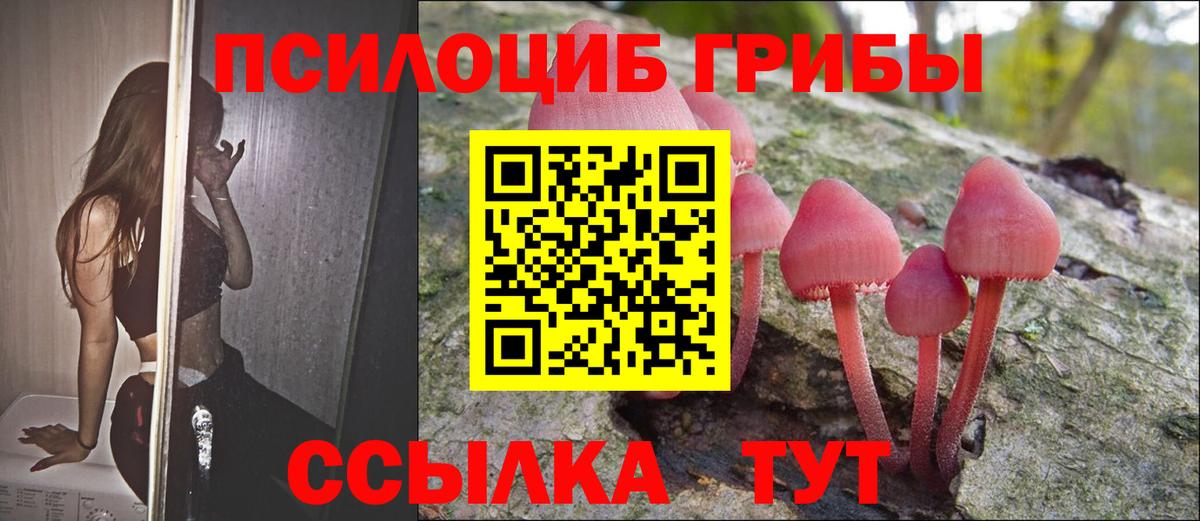 Псилоцибиновые грибы Cubensis Муром